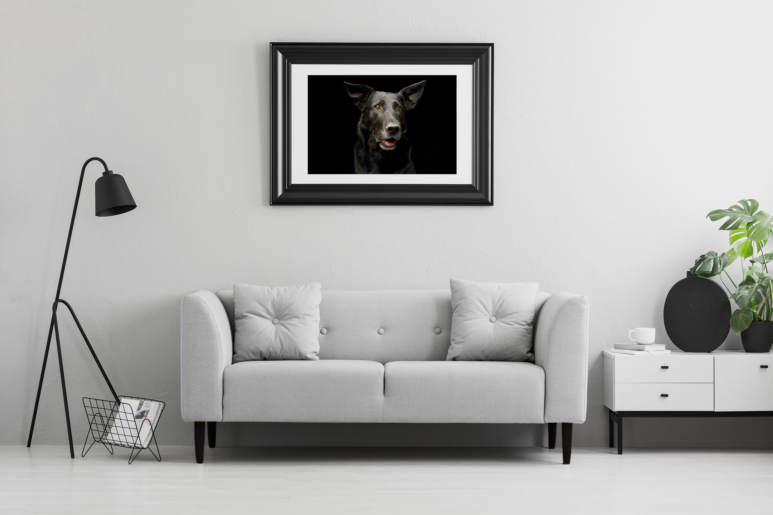 Framed photo on a wall above a fancy, gray sofa with cushions in a minimalist living room interior and place for a table. Real photo.